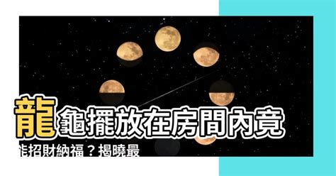 龍龜 擺 放 臥室|龍龜可放房間嗎？風水大師公開擺放技巧，教你消災擋煞招好運！